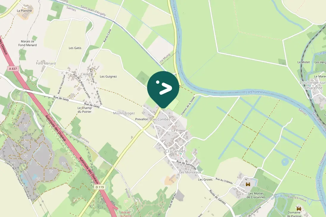 Waargenomen Gierzwaluw