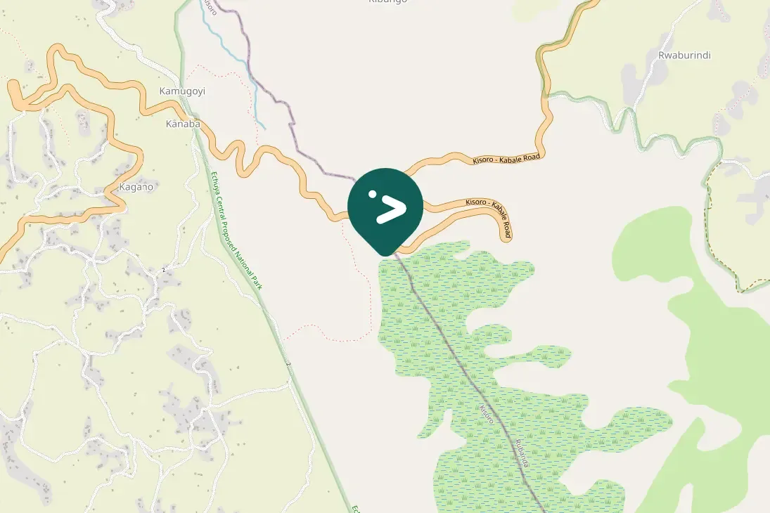 Spotted African Hill Babbler