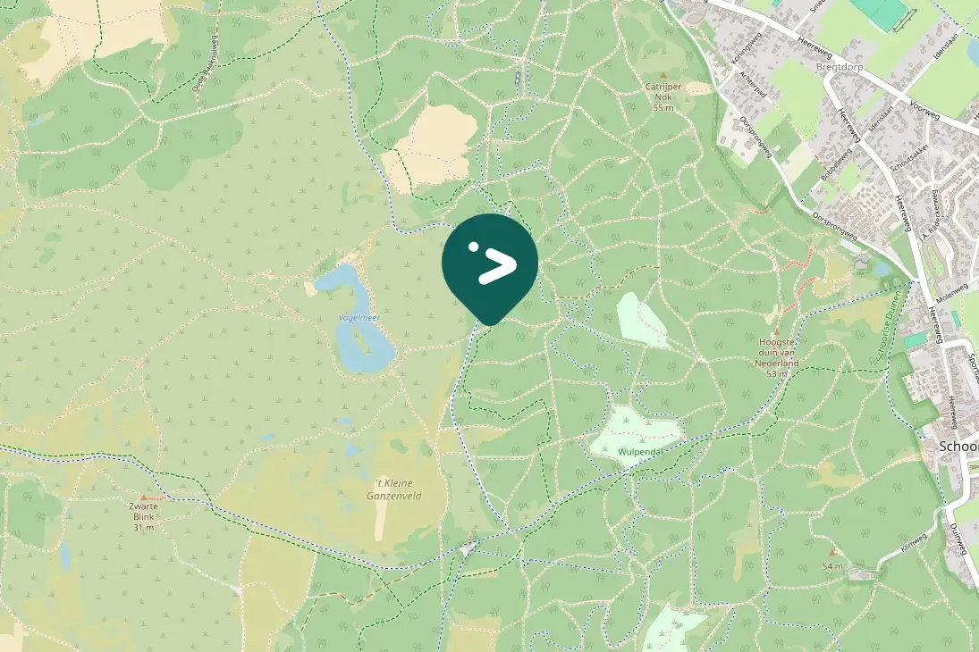 Spotted Western Barn Owl