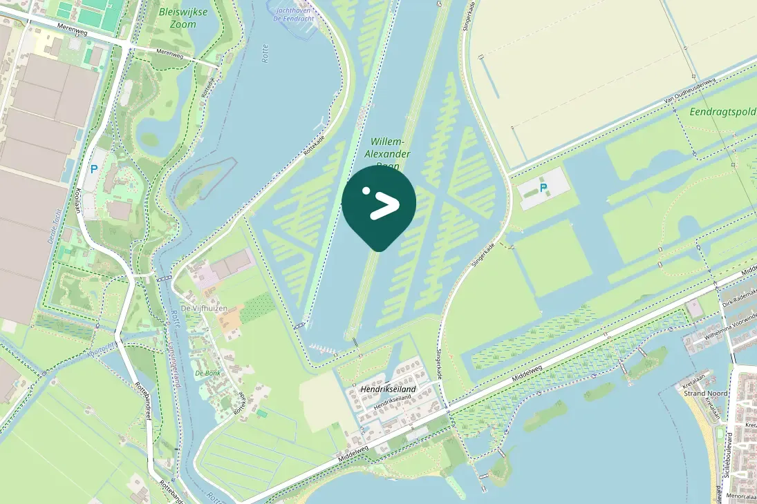 Spotted Pied Avocet