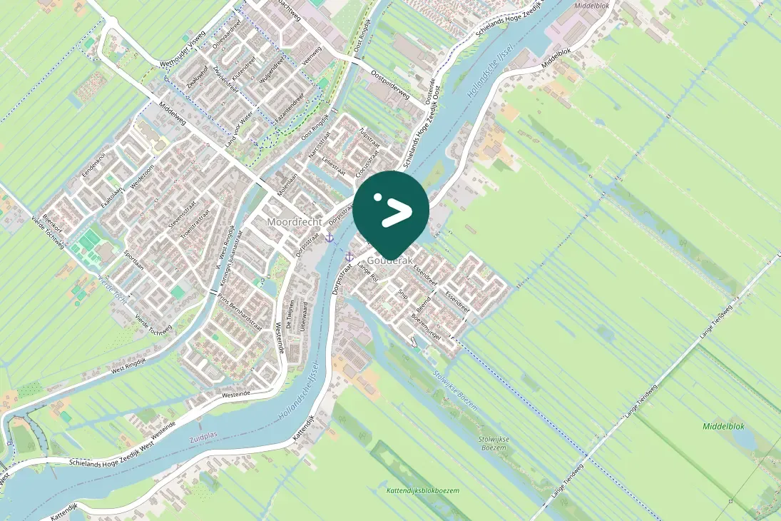 Waargenomen Knobbelzwaan