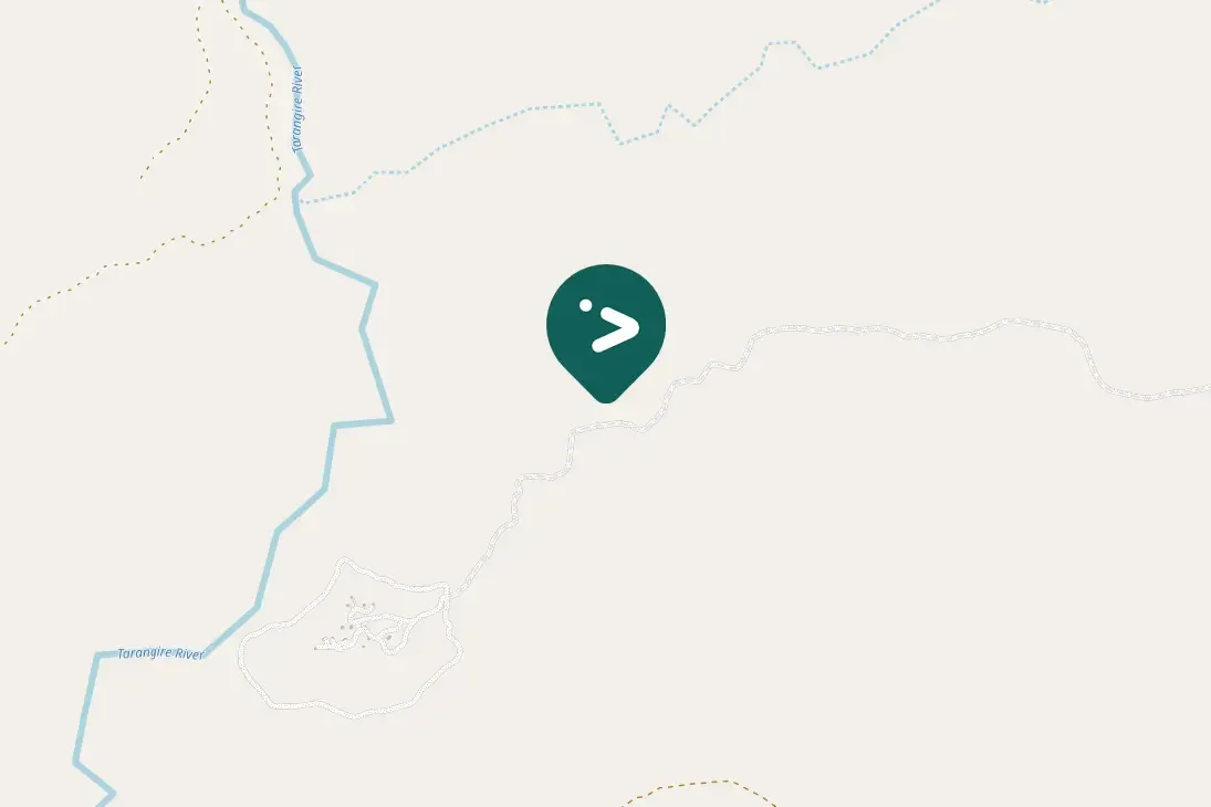 Spotted Secretarybird