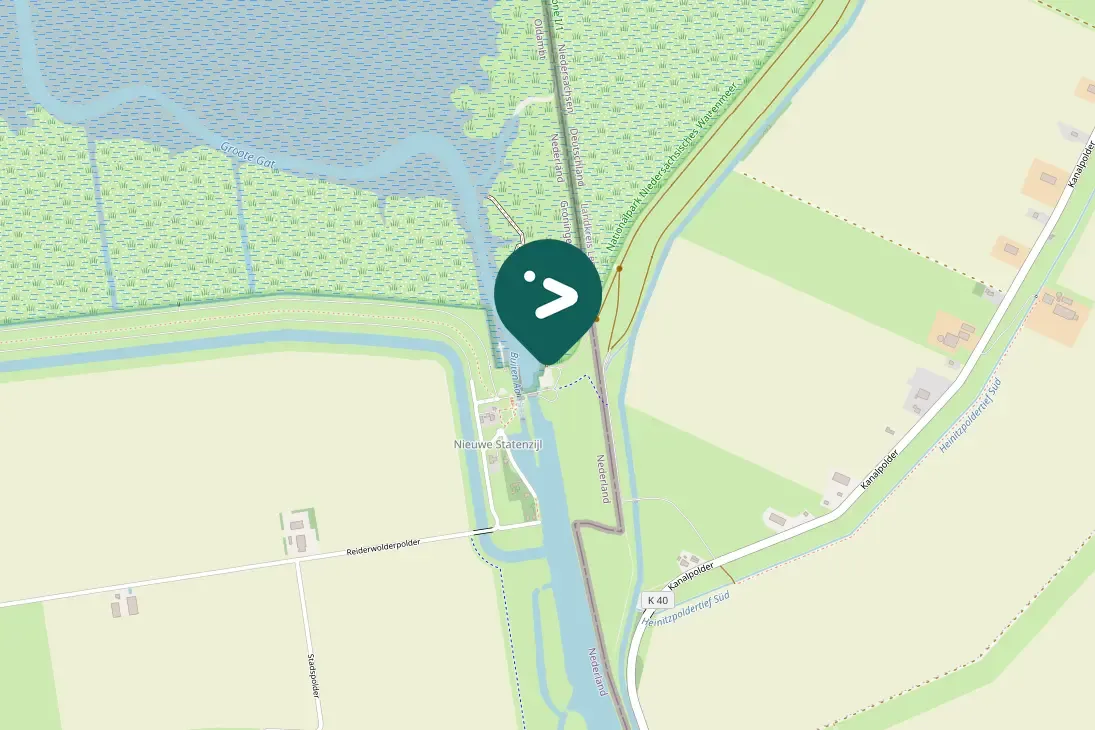 Spotted Pied Avocet