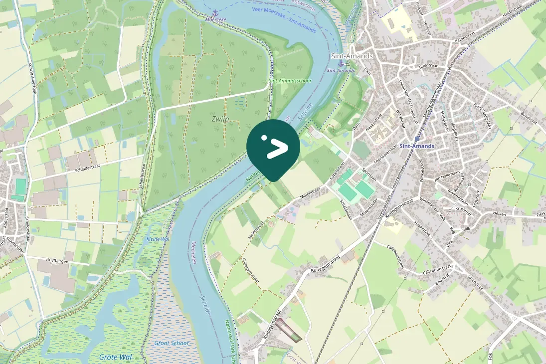 Waargenomen Grote bonte specht