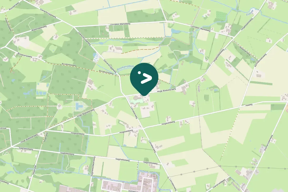 Waargenomen Grote bonte specht