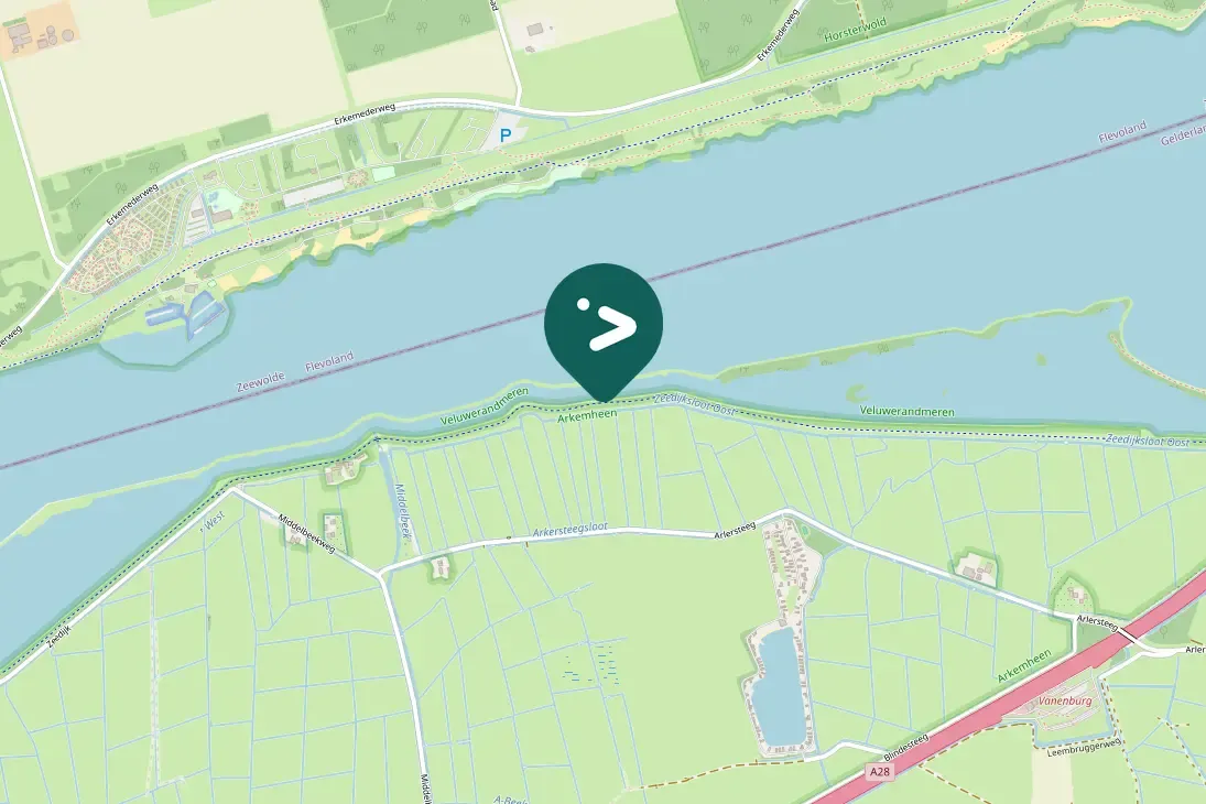 Spotted Green Sandpiper
