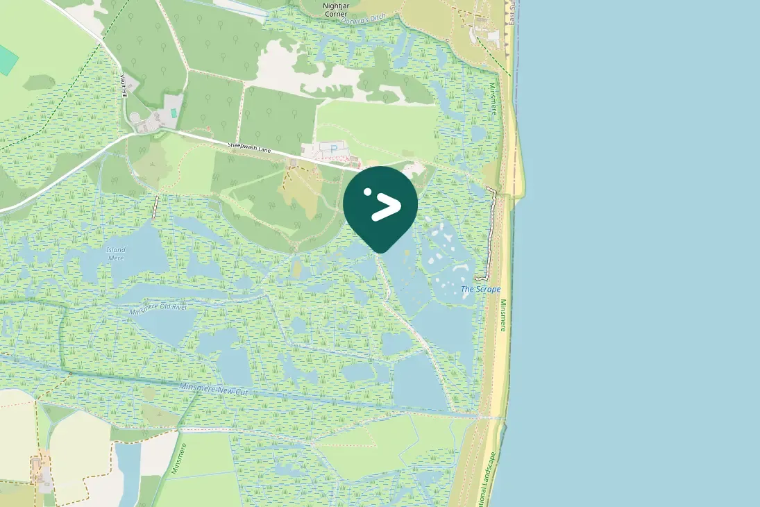 Spotted Green-winged Teal
