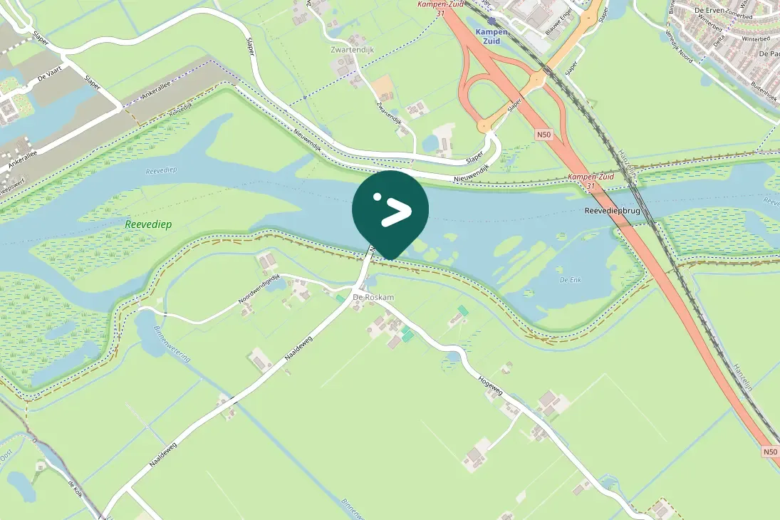 Spotted Common Ringed Plover