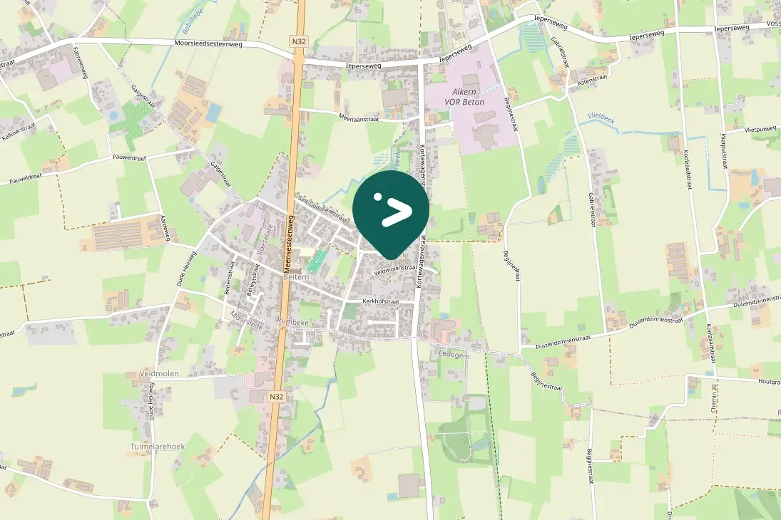 Spotted Eurasian Magpie