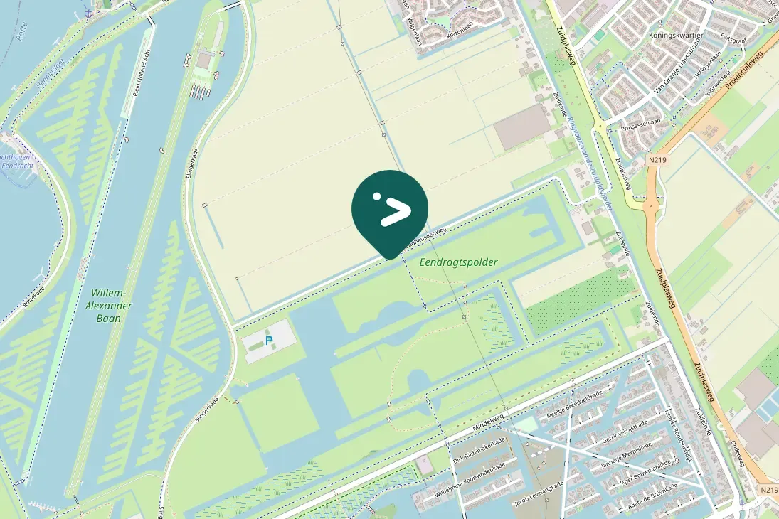 Waargenomen Roerdomp