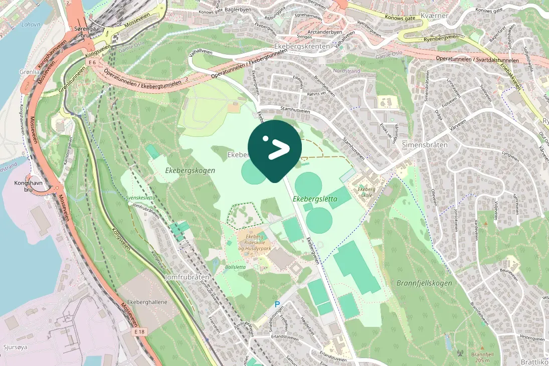 Waargenomen Brandgans