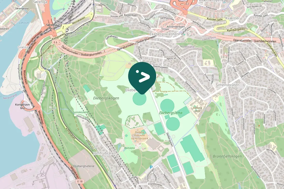 Waargenomen Witte kwikstaart