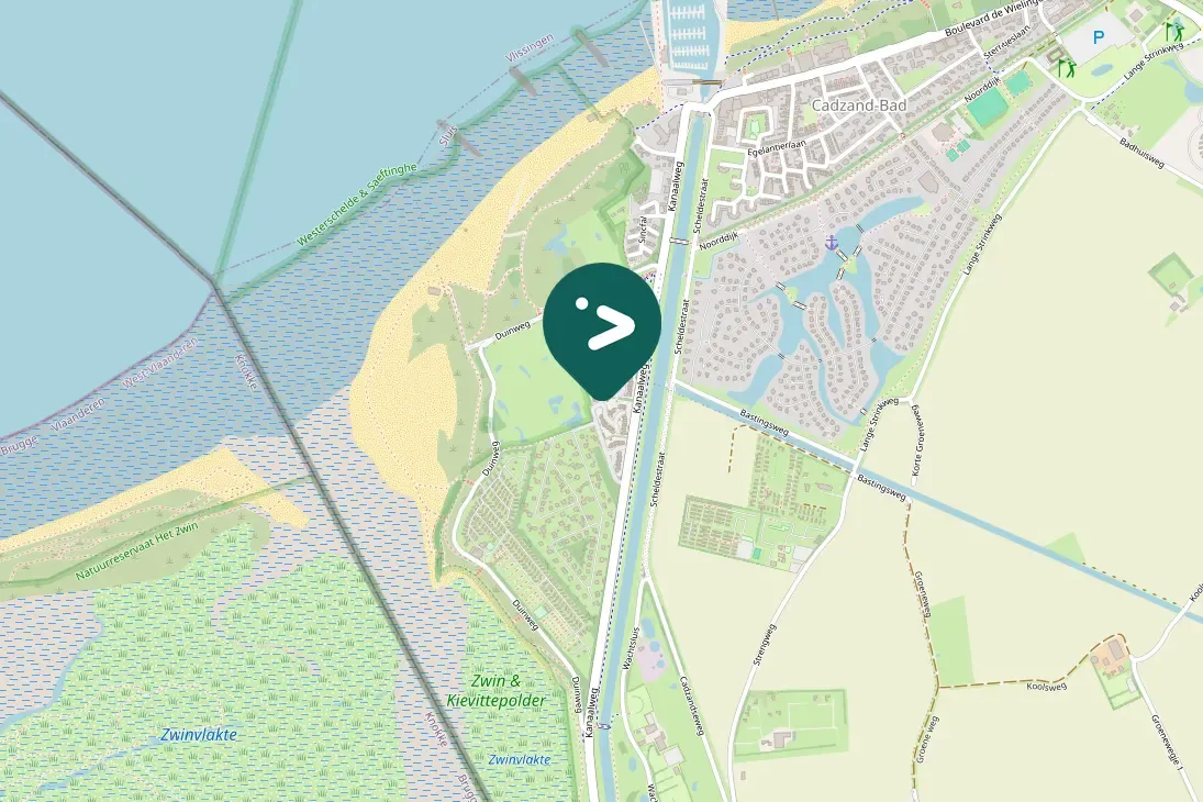 Waargenomen Groenpootruiter