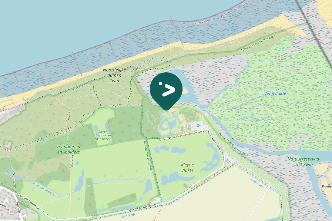 Waargenomen Kleine zilverreiger