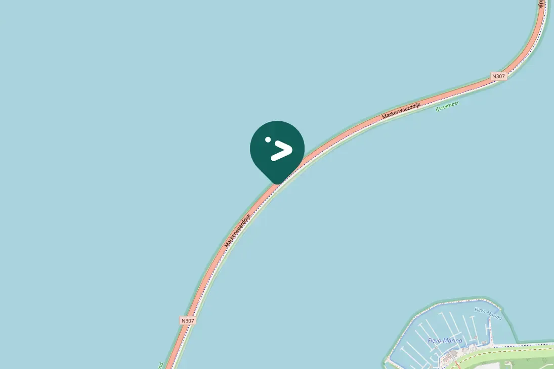 Waargenomen Grote zilverreiger