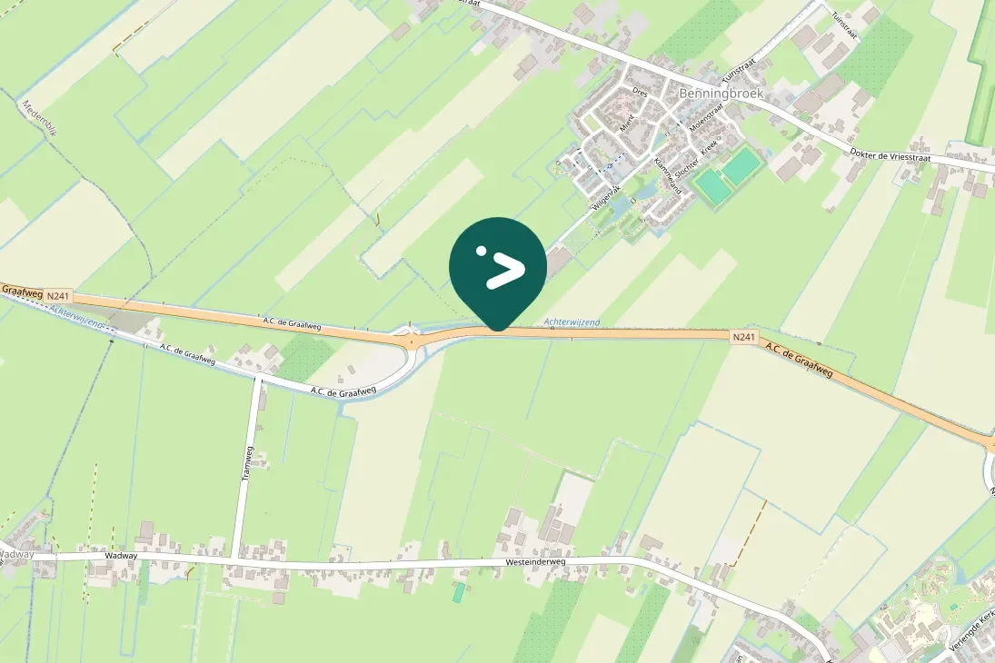 Waargenomen Aalscholver