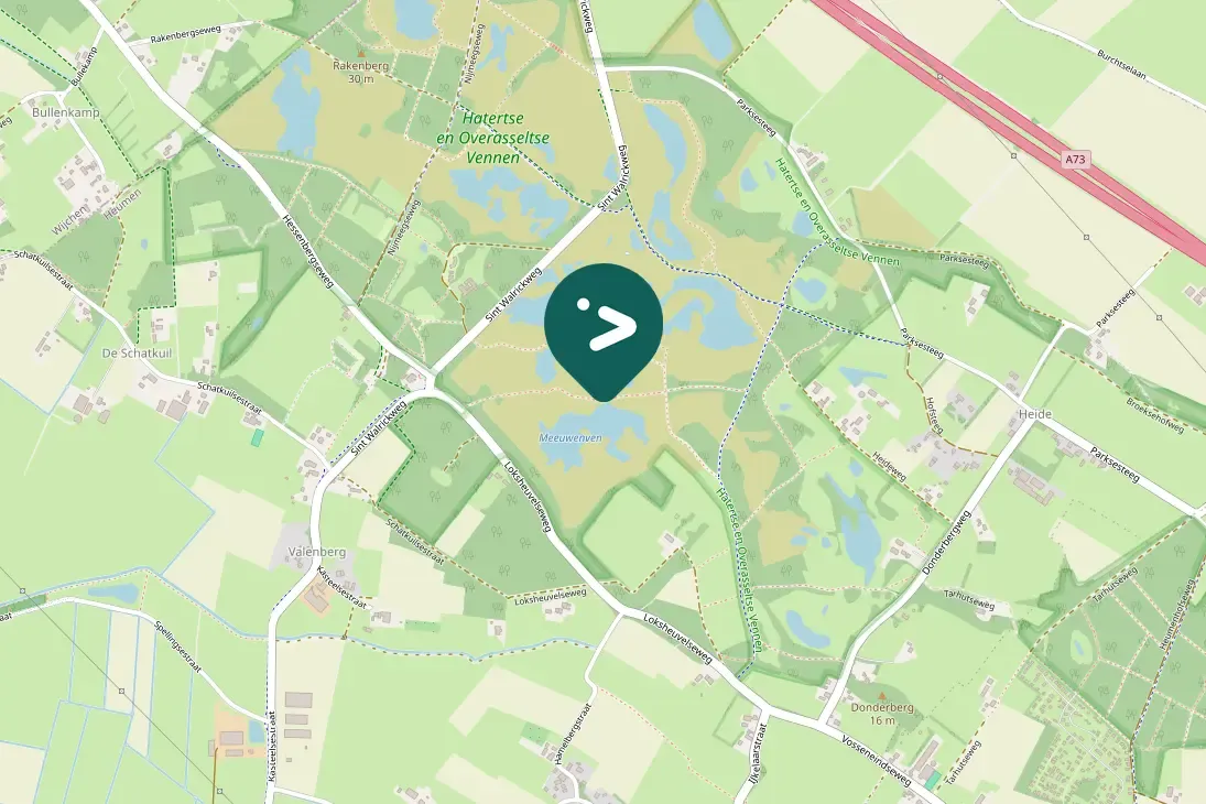 Waargenomen Gele kwikstaart