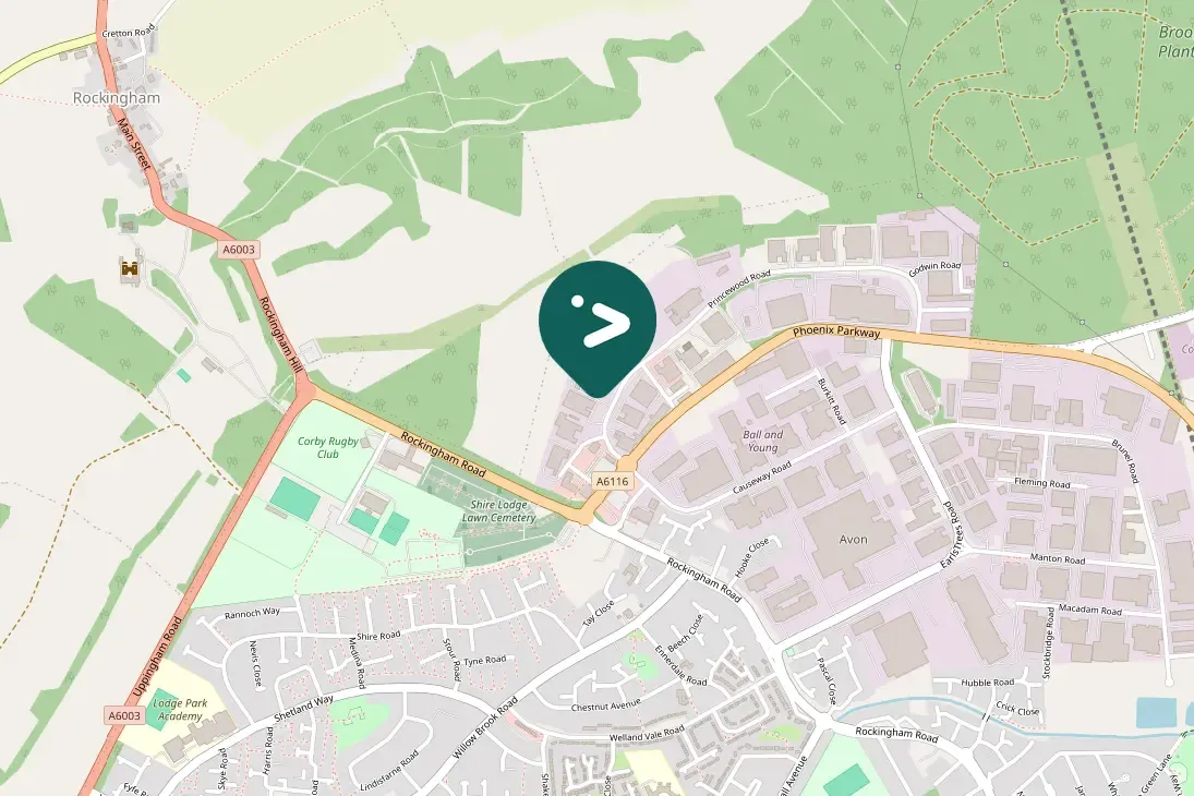 Waargenomen Kokmeeuw