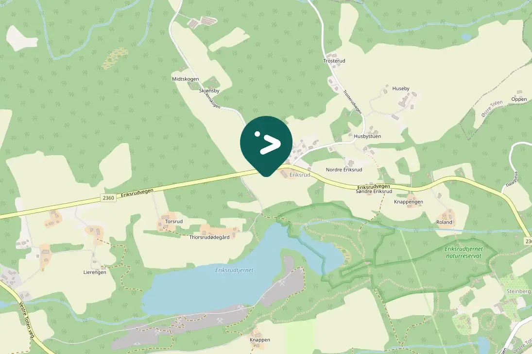 Waargenomen Groenling