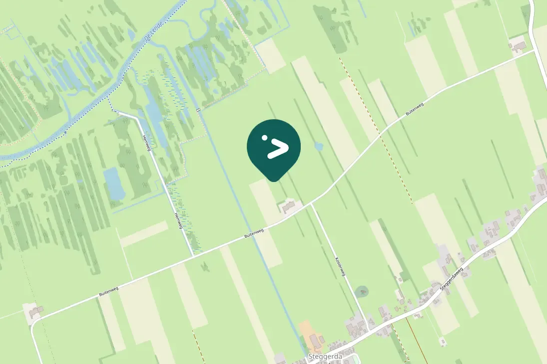 Waargenomen IJsvogel