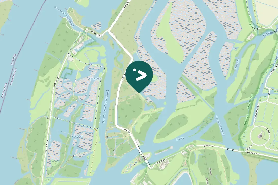 Waargenomen Groenpootruiter