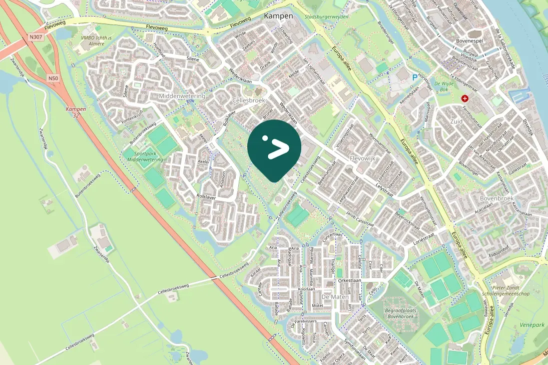 Waargenomen IJsvogel