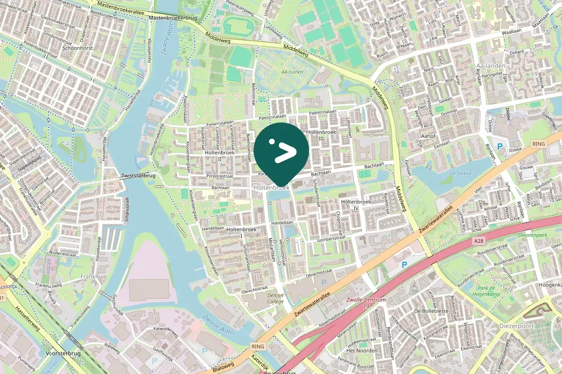 Waargenomen Kokmeeuw