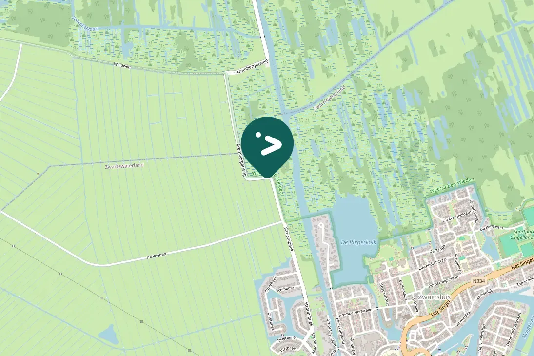 Waargenomen Buizerd