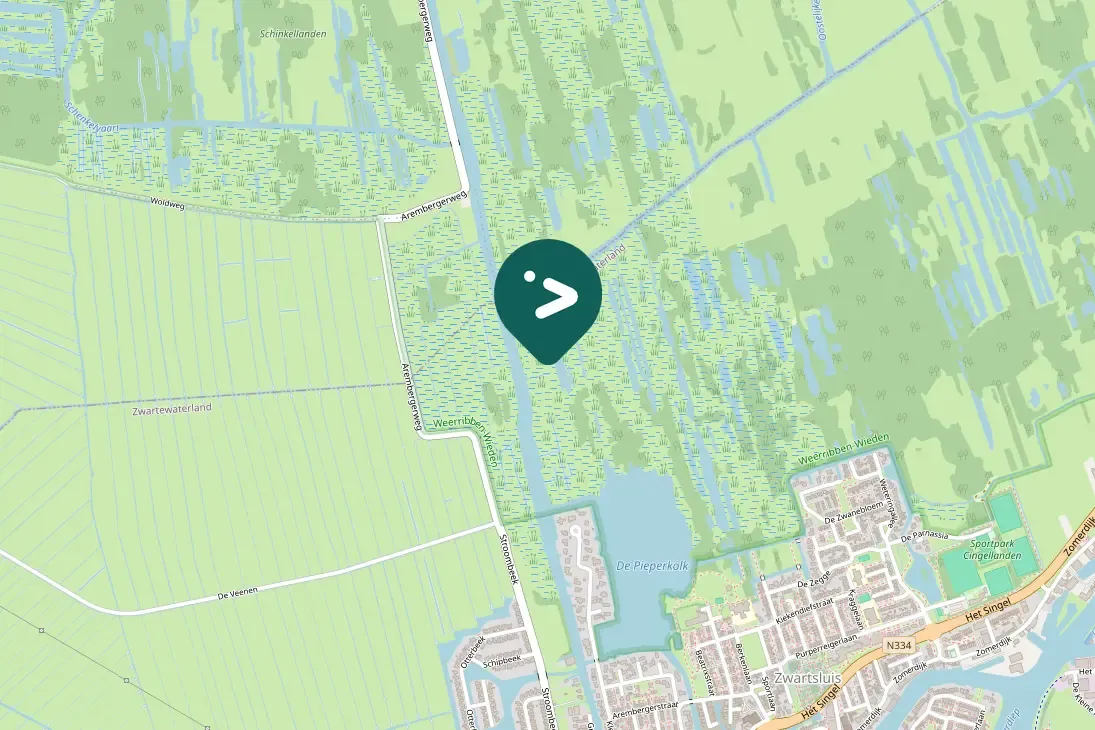 Waargenomen Buizerd