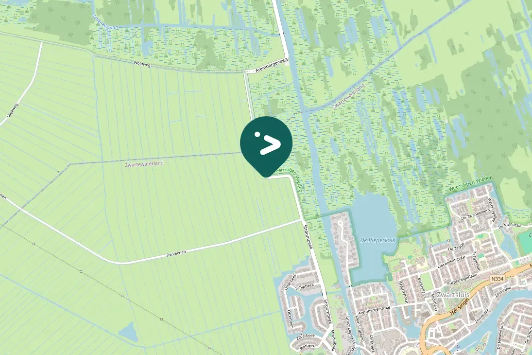 Waargenomen Grauwe gans
