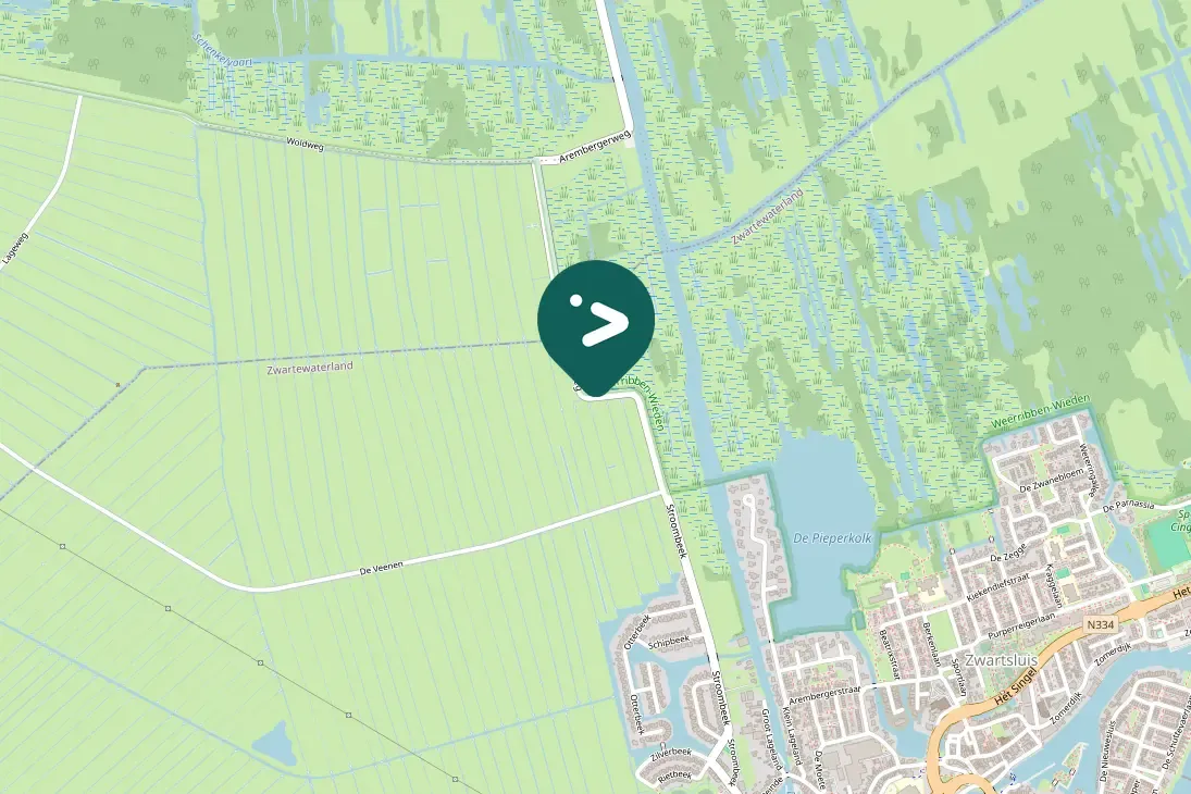 Waargenomen Knobbelzwaan