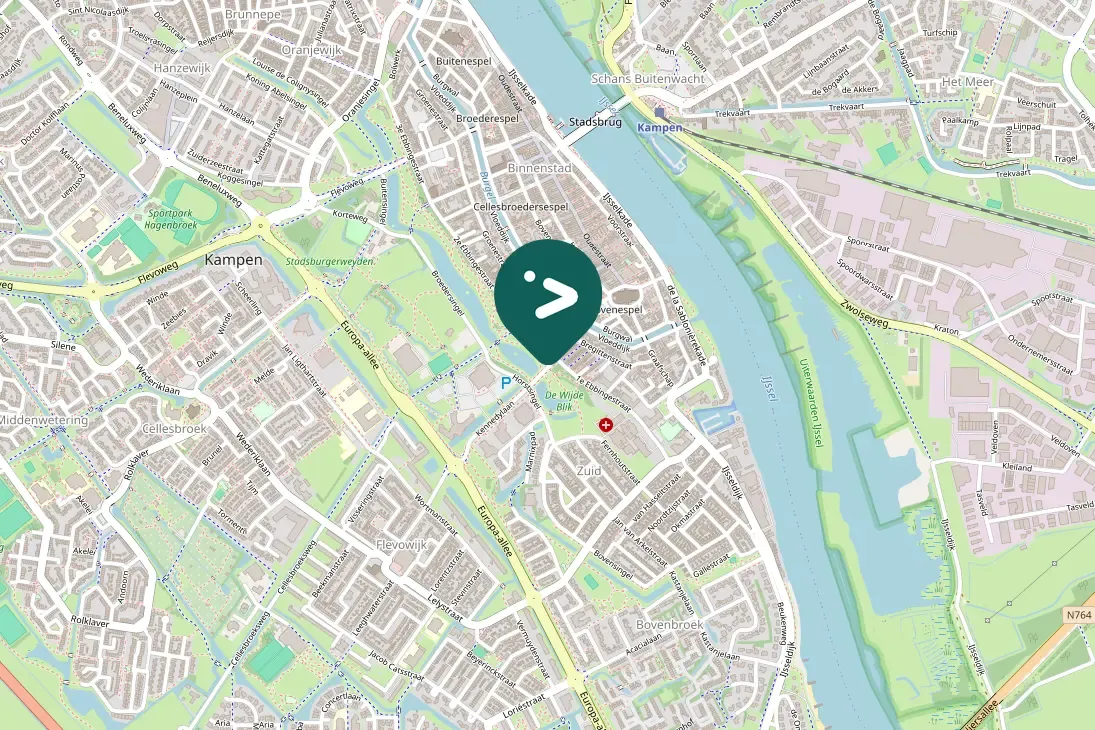 Waargenomen Grauwe gans