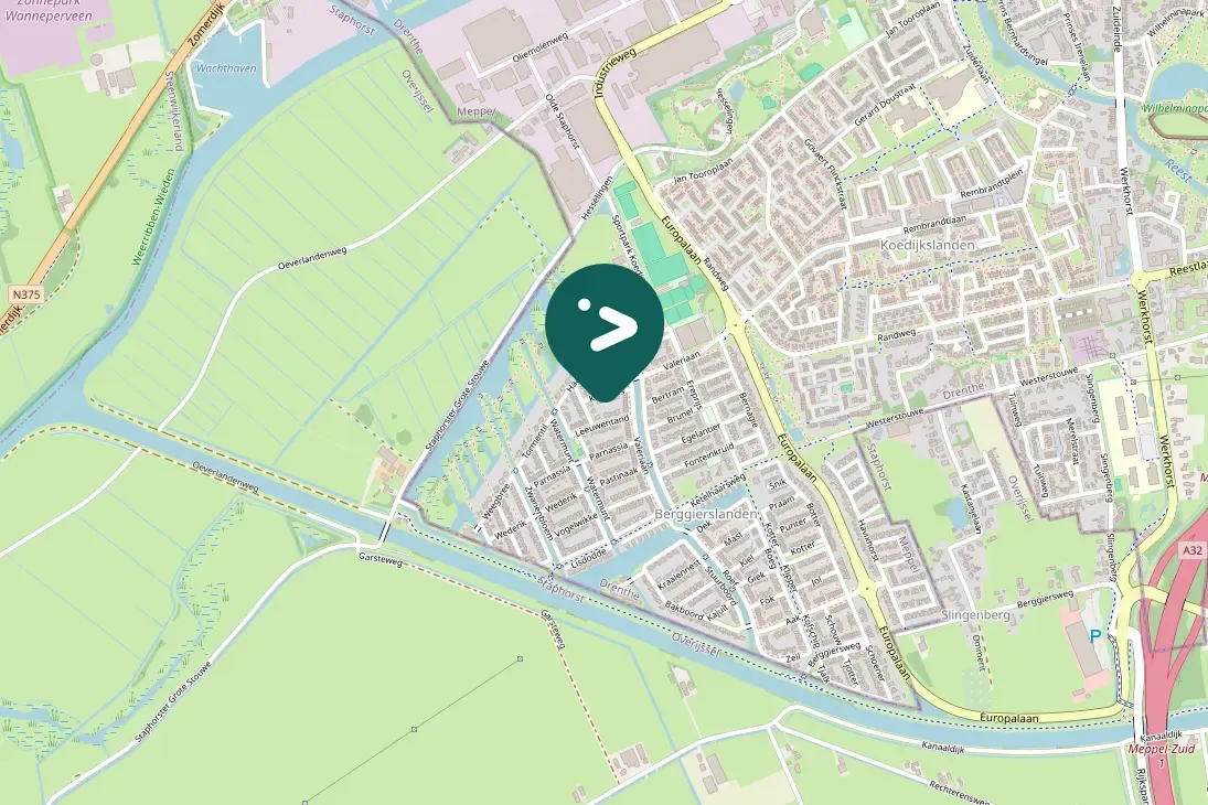 Spotted House Sparrow