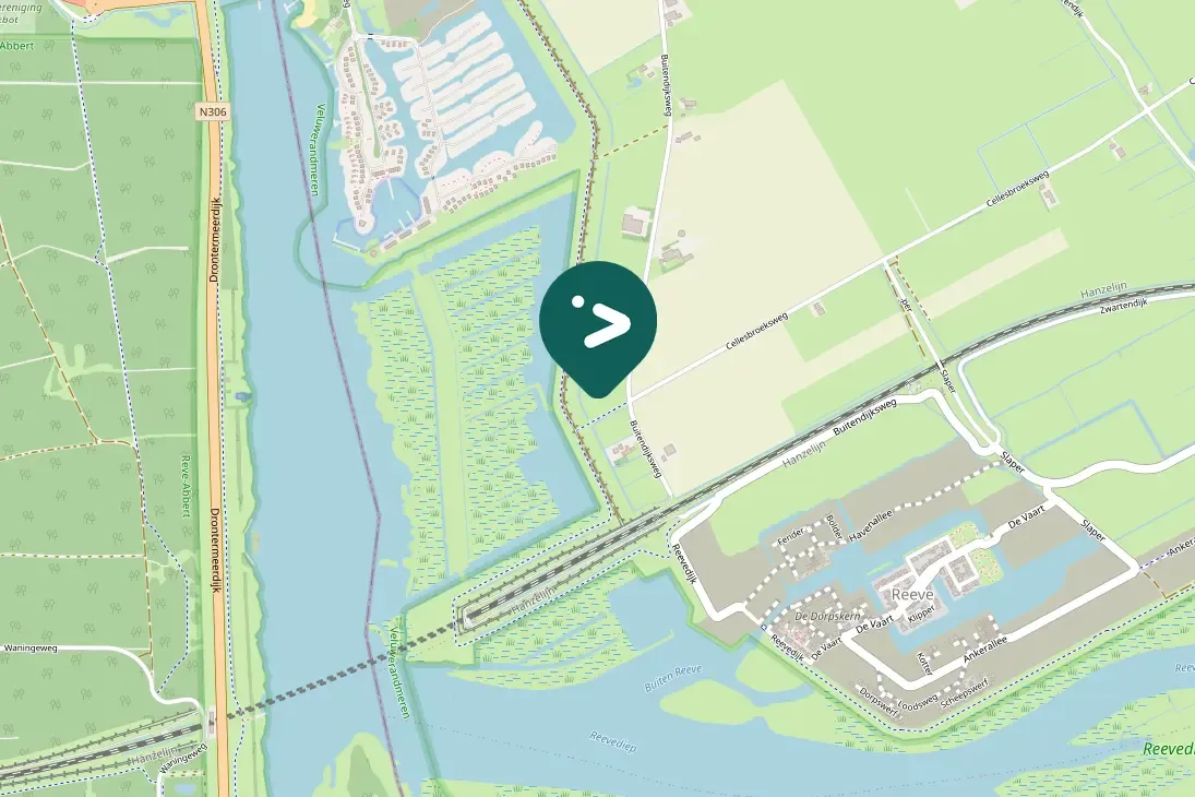 Waargenomen Lepelaar