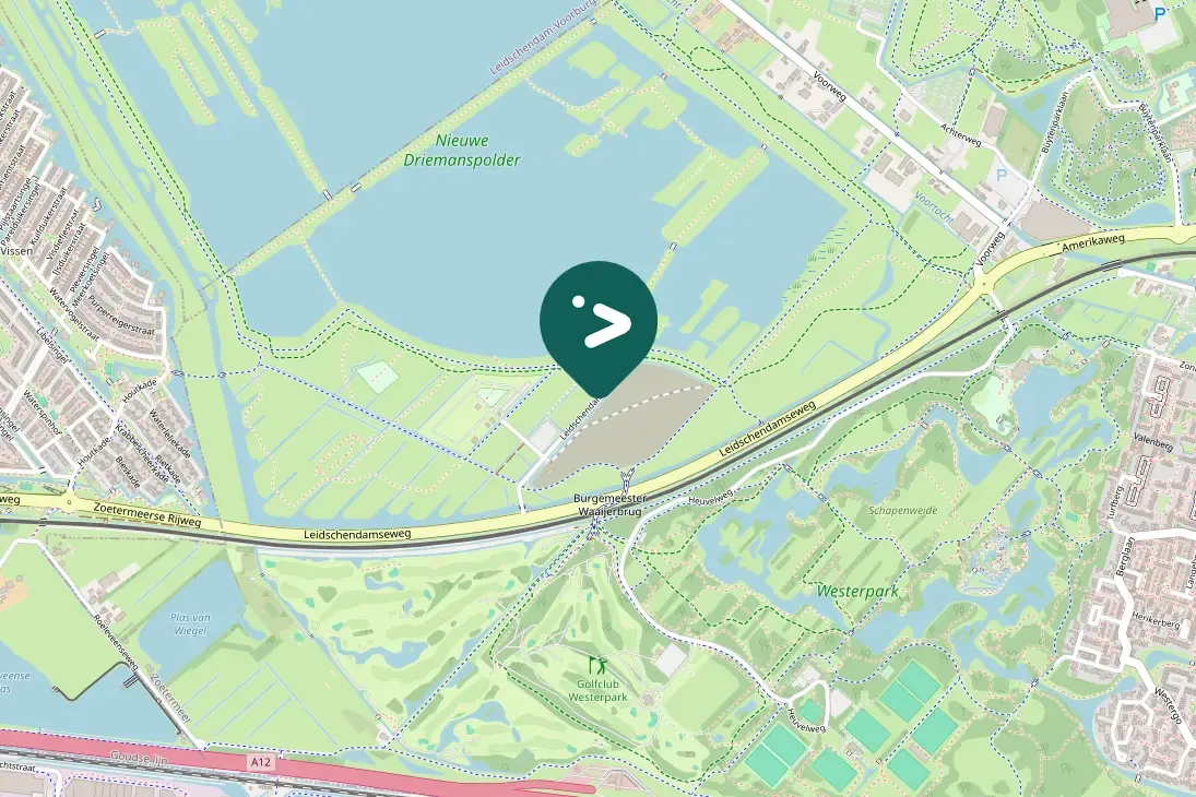 Waargenomen Ekster