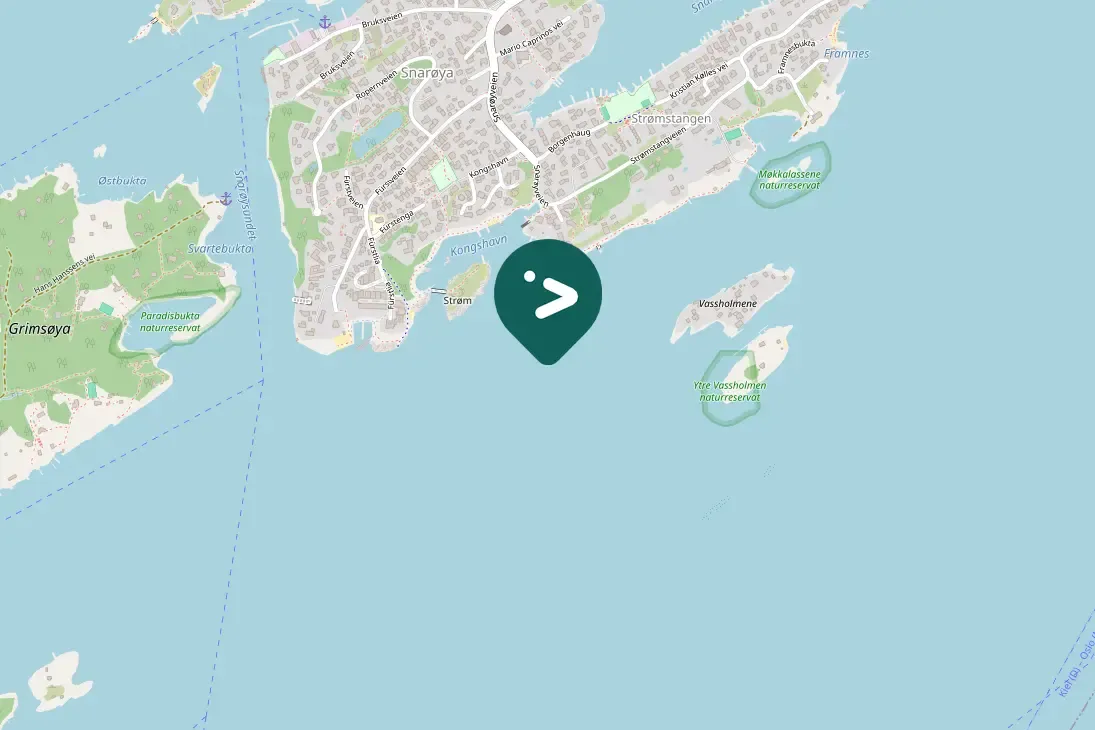 Spotted Red-breasted Merganser