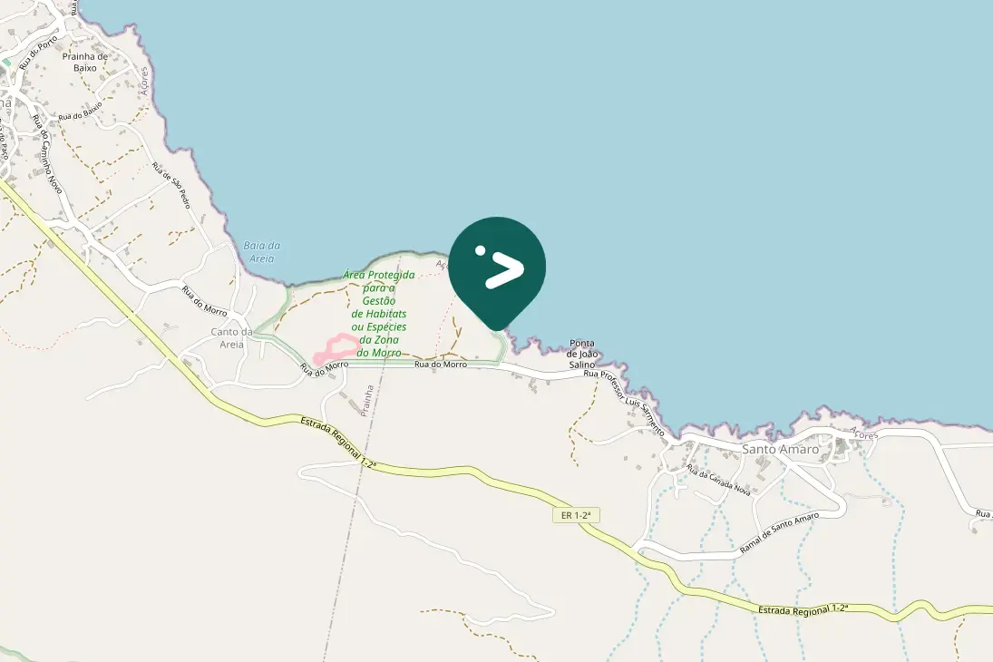 Spotted Cory's Shearwater