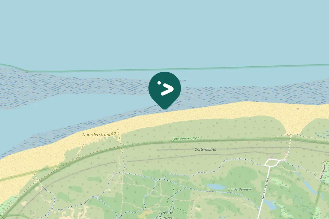 Spotted Sanderling