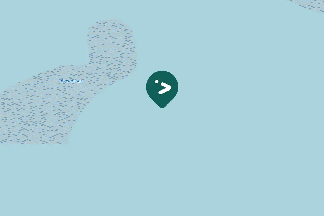 Waargenomen Grote mantelmeeuw