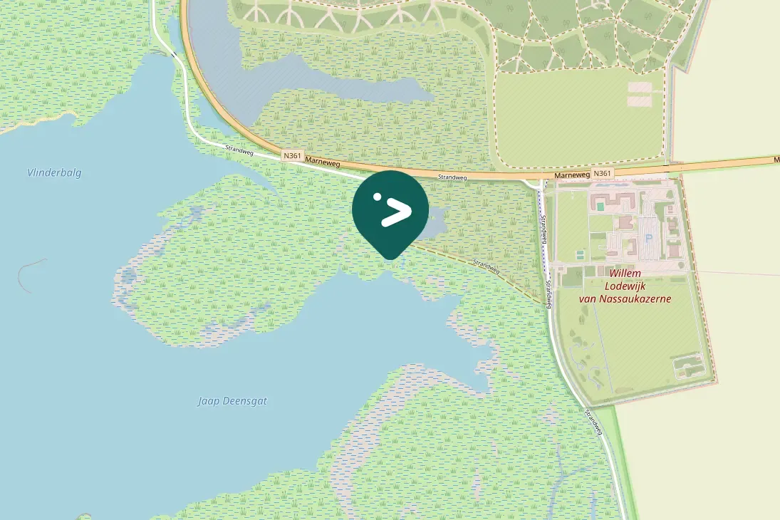 Spotted Northern Shoveler
