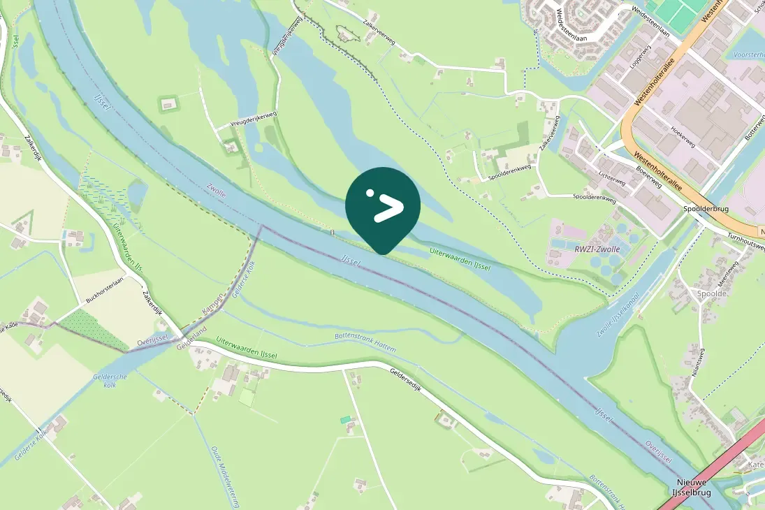 Spotted Common Sandpiper
