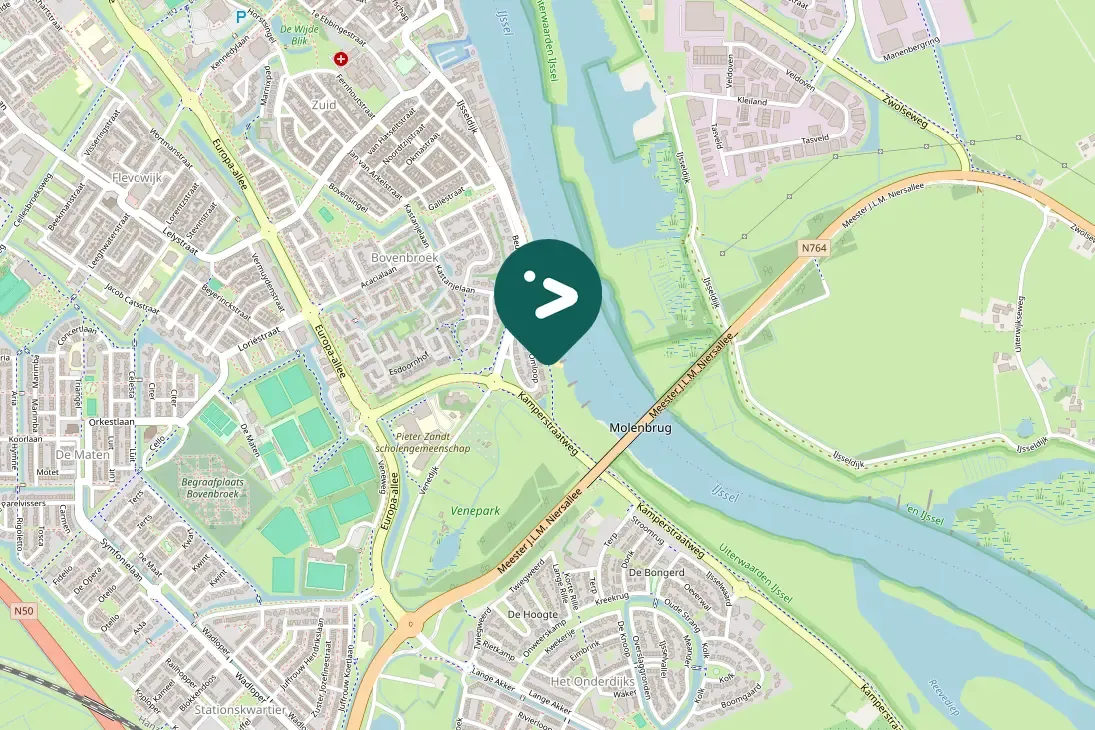 Waargenomen Boerenzwaluw
