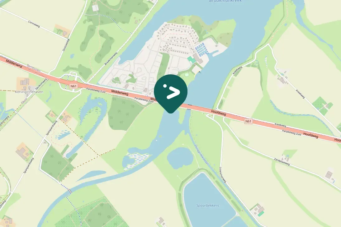 Waargenomen Kuifeend