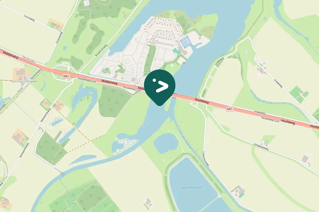 Waargenomen Bruine kiekendief