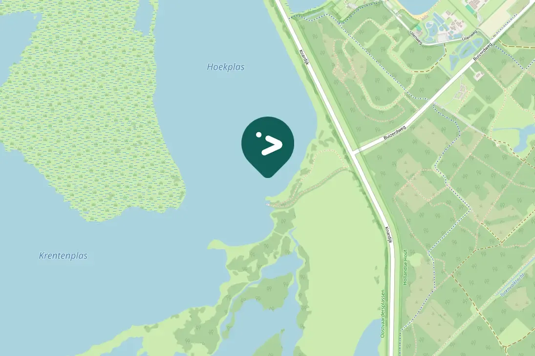 Spotted Pied Avocet
