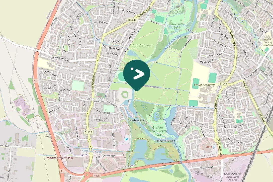 Waargenomen Roodborsttapuit