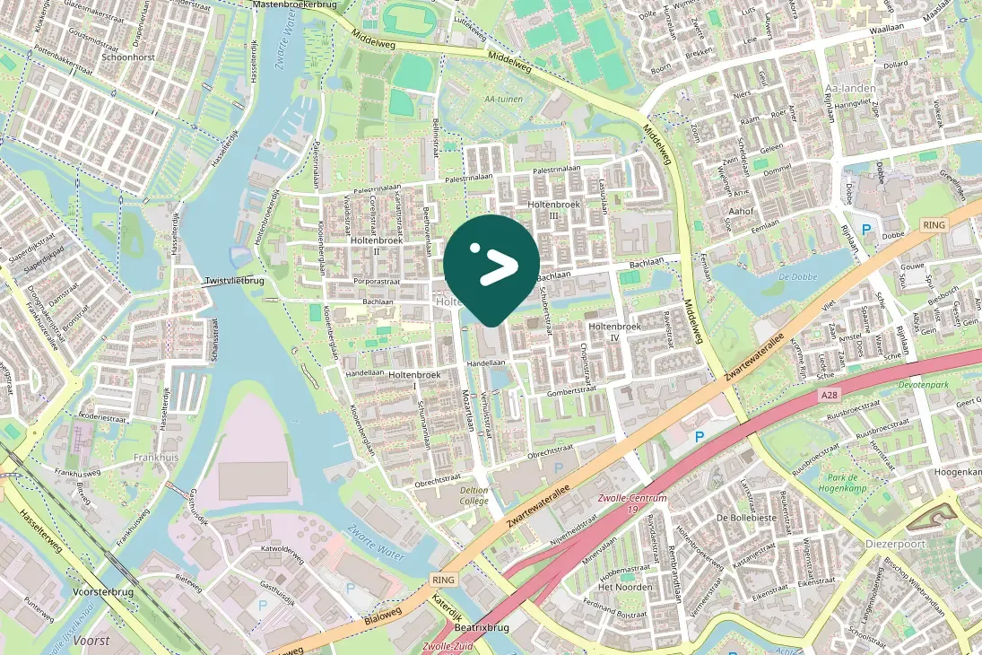Waargenomen Kokmeeuw