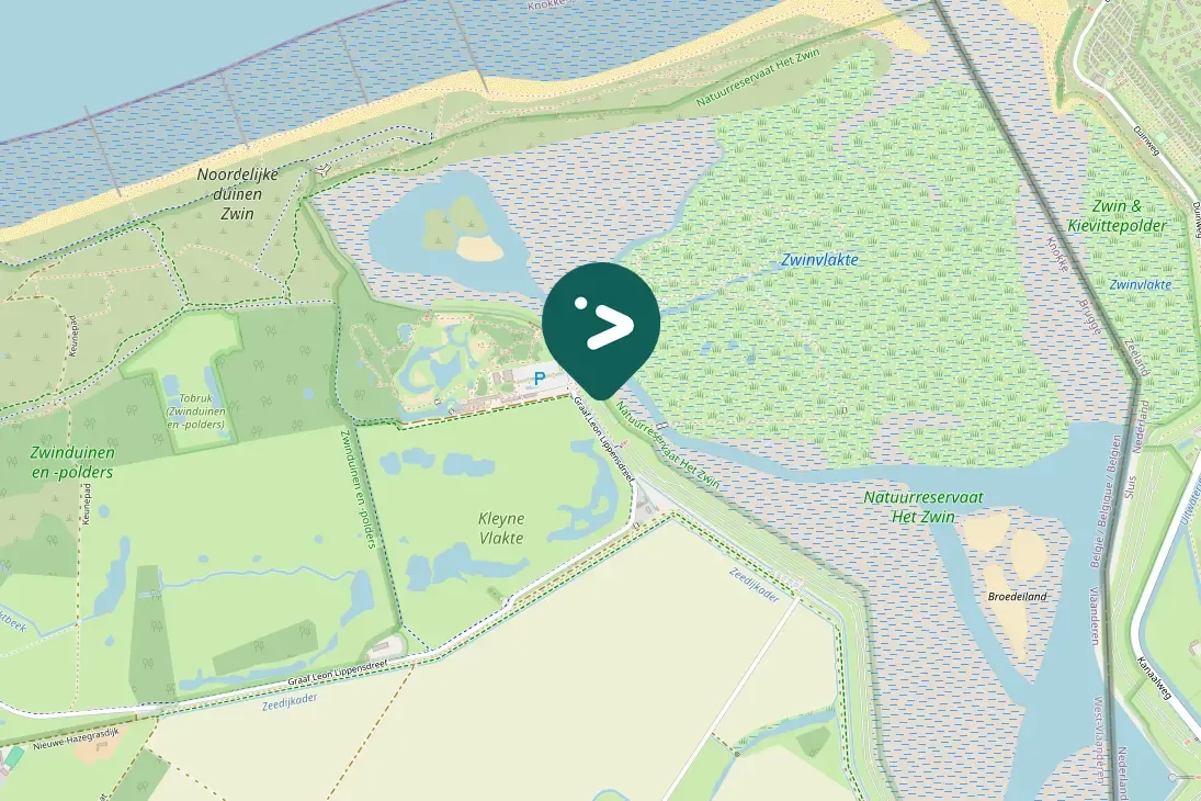 Waargenomen Grauwe gans