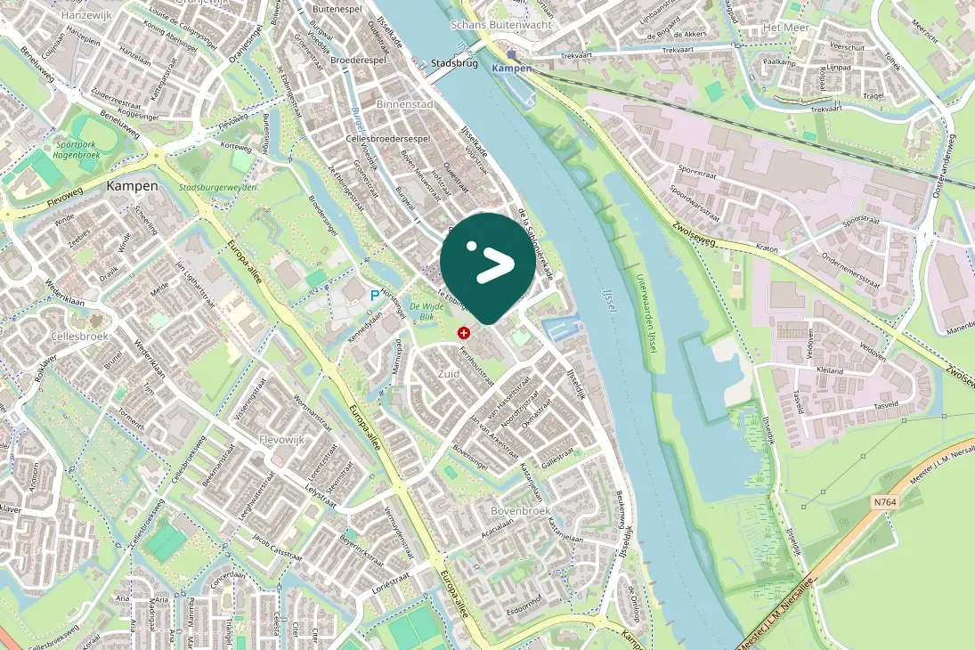 Waargenomen Grauwe gans