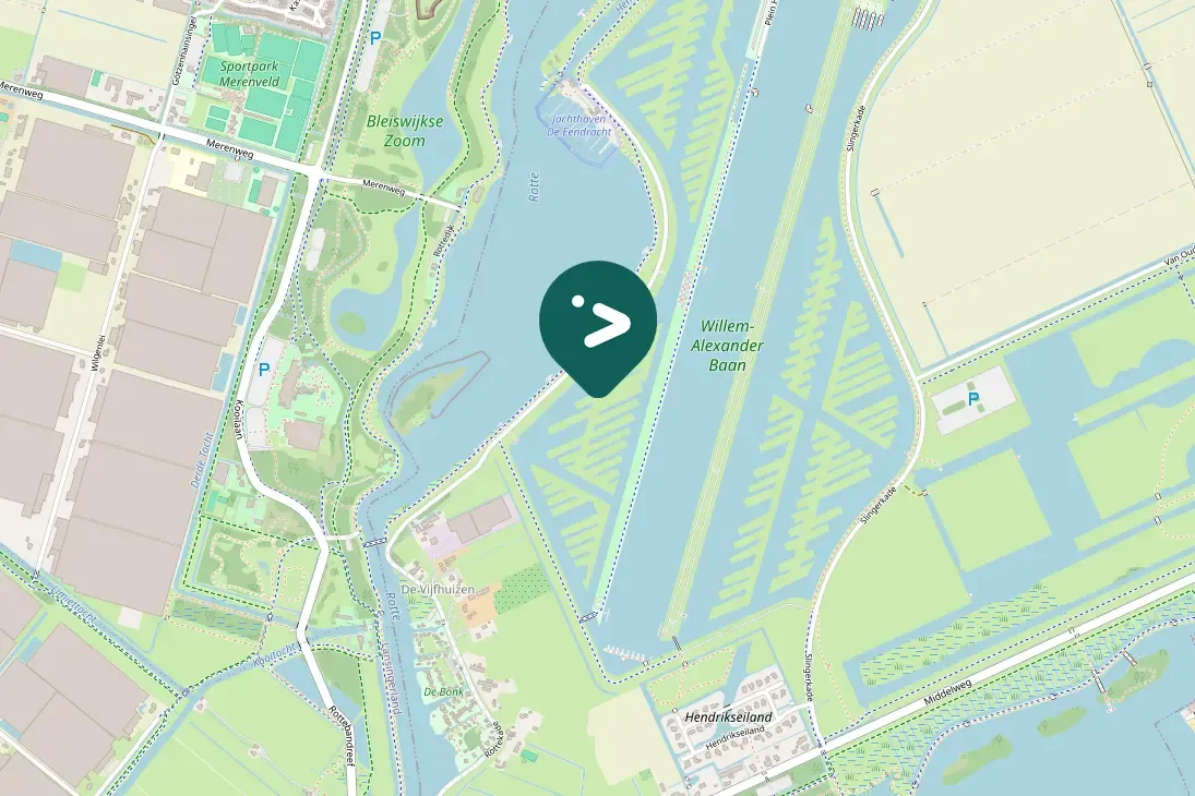Spotted Eurasian Wigeon
